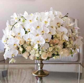 Luxury Orchids and Other Flowers