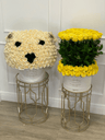 teddy bear roses and yellow roses