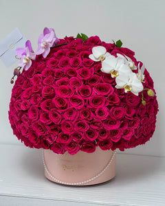 
                    
                      200 roses
                    
                  