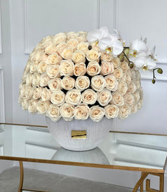 
                    
                      Rosas
                    
                  