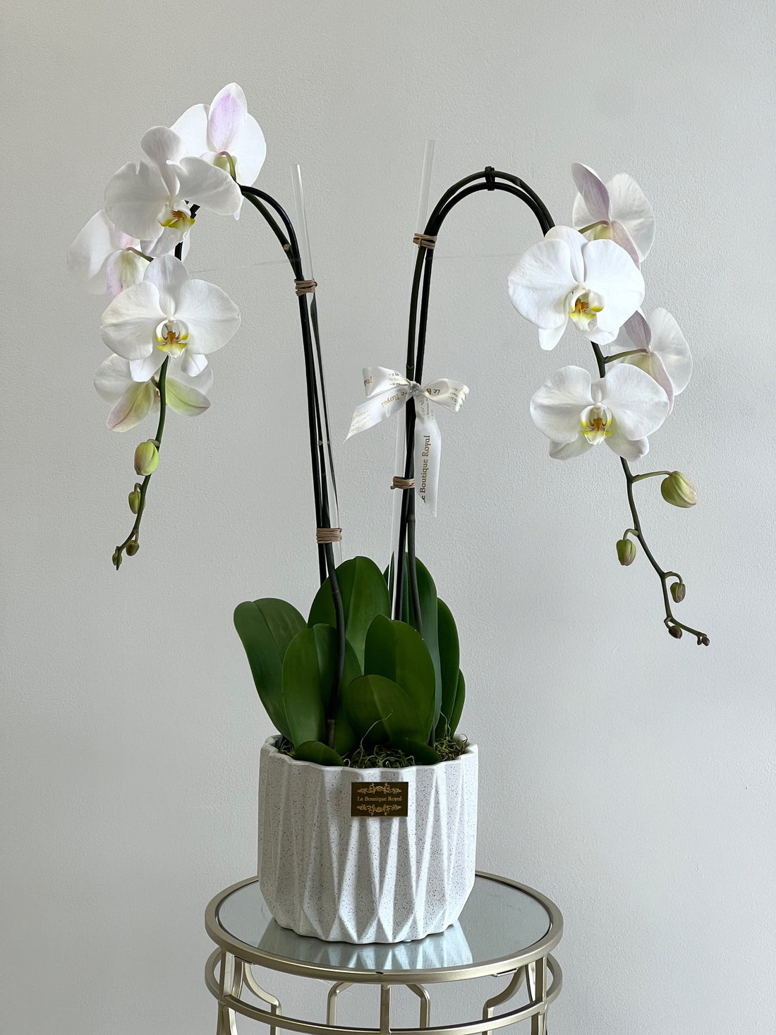 2 orchids in a vase