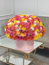 multicolor flowers