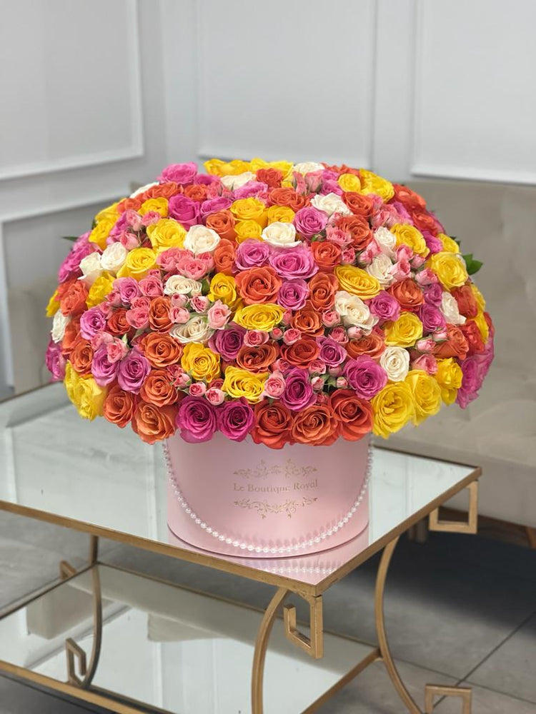 multicolor flowers