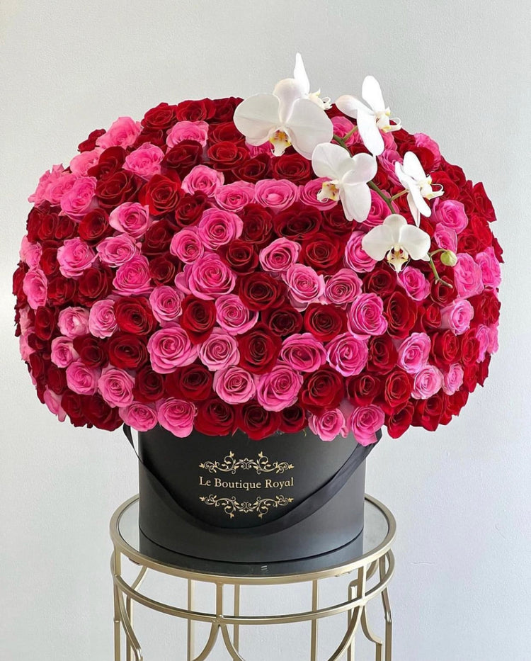 Rosas rosadas y rojas