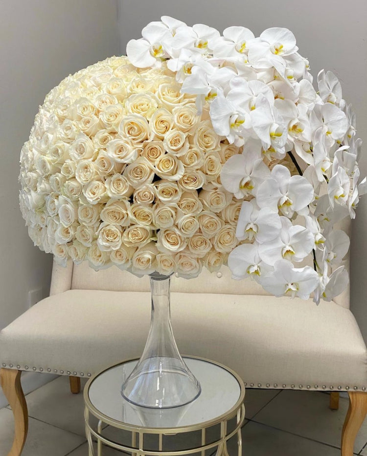 500 white roses