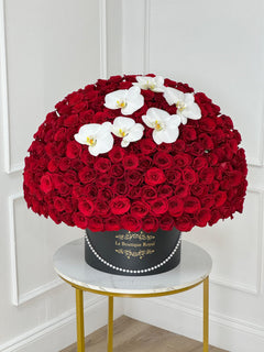 
                    
                      Luxury dome arrangement of 500 red roses with white orchids in a Le Boutique Royal signature box
                    
                  
