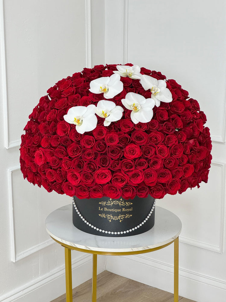 Luxury dome arrangement of 500 red roses with white orchids in a Le Boutique Royal signature box