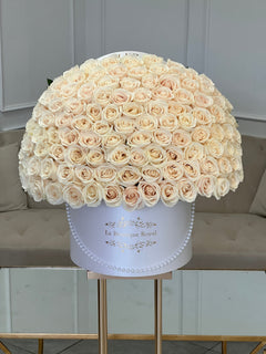 
                    
                      100 premium white roses in a white box
                    
                  