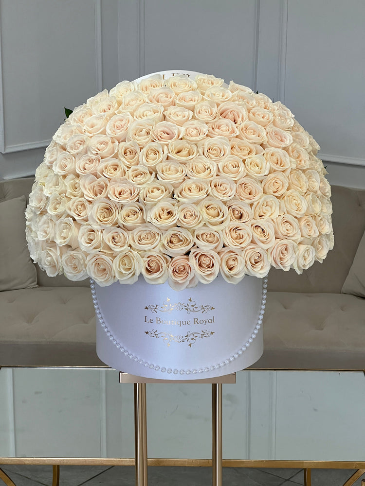 100 premium white roses in a white box
