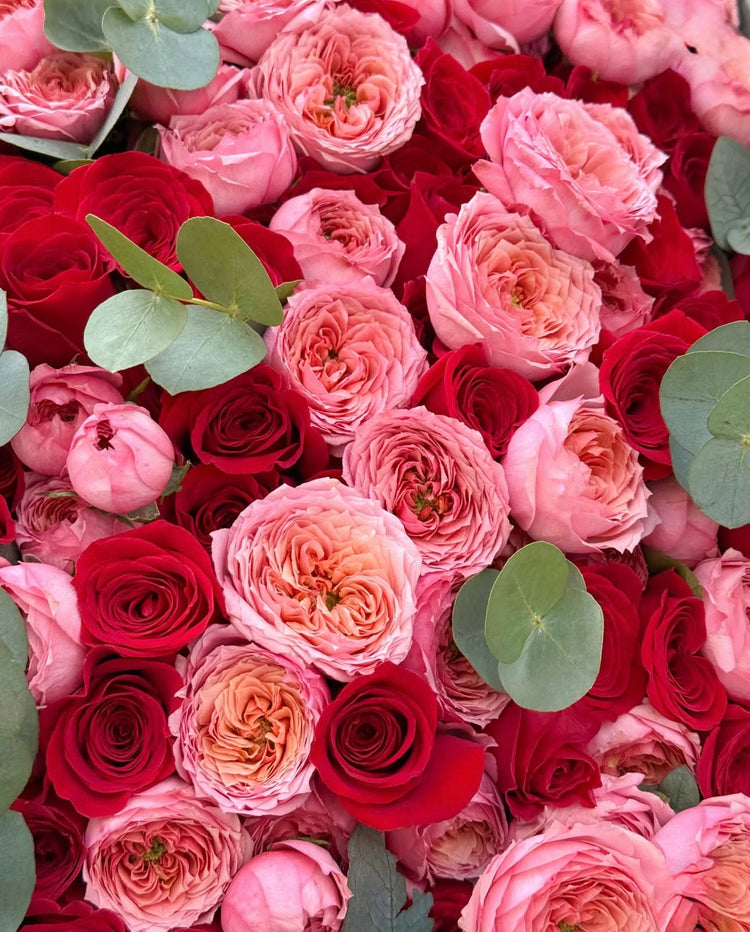 Rosas