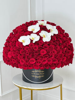 
                    
                      500 Luxury Red Roses with Orchids
                    
                  