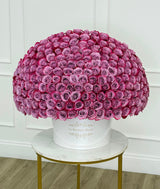 Rosas de color morado oscuro exclusivas