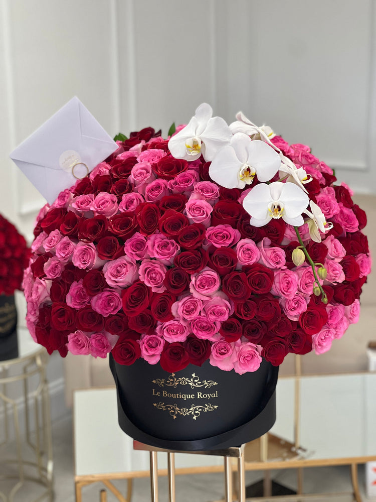 Rosas rosadas y rojas