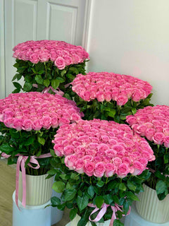 
                    
                      Rosas rosadas de Le Boutique Royal
                    
                  