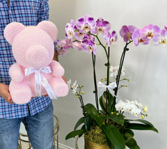 
                    
                      Pearl Teddy Bear
                    
                  