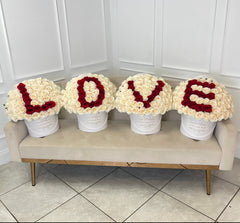 
                    
                      love in roses
                    
                  