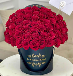 
                    
                      luxury red roses miami delivery
                    
                  